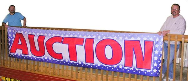 Red, White & Blue “Auction” Banners (3 foot by Several options)